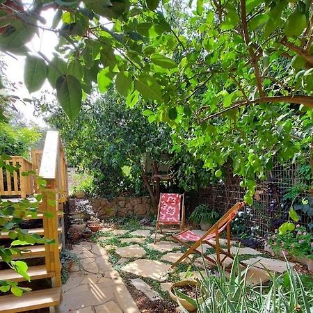 Maple'S Place - אירוח מייפל Rosh Pinna Dış mekan fotoğraf
